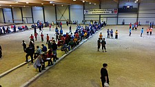 DSC_0135.jpg